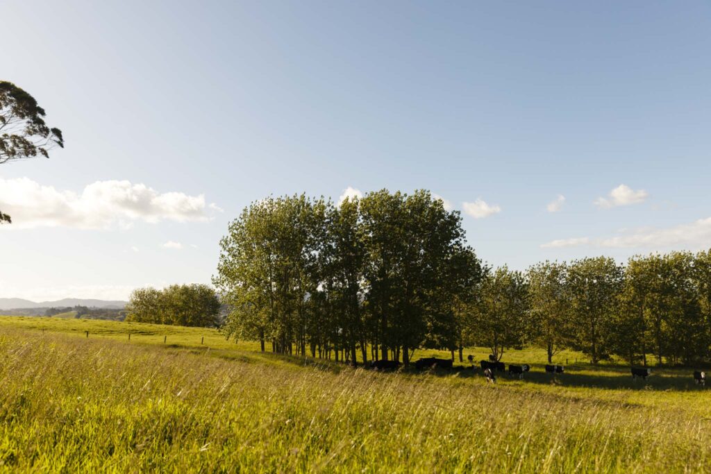 BLACKSWAMP-NOV2021-WEB-6289